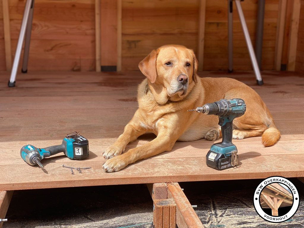 WhatsApp Image 2025-08-16 at 20.01.53 (1)